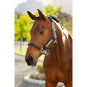 LeMieux Cabezada Capella Powder Blue