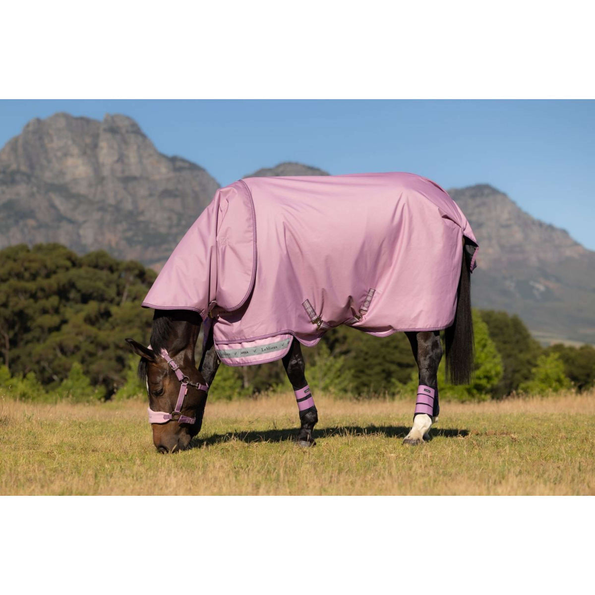 LeMieux Alfombra de Exterior Arika Ripstop 0g Fondant