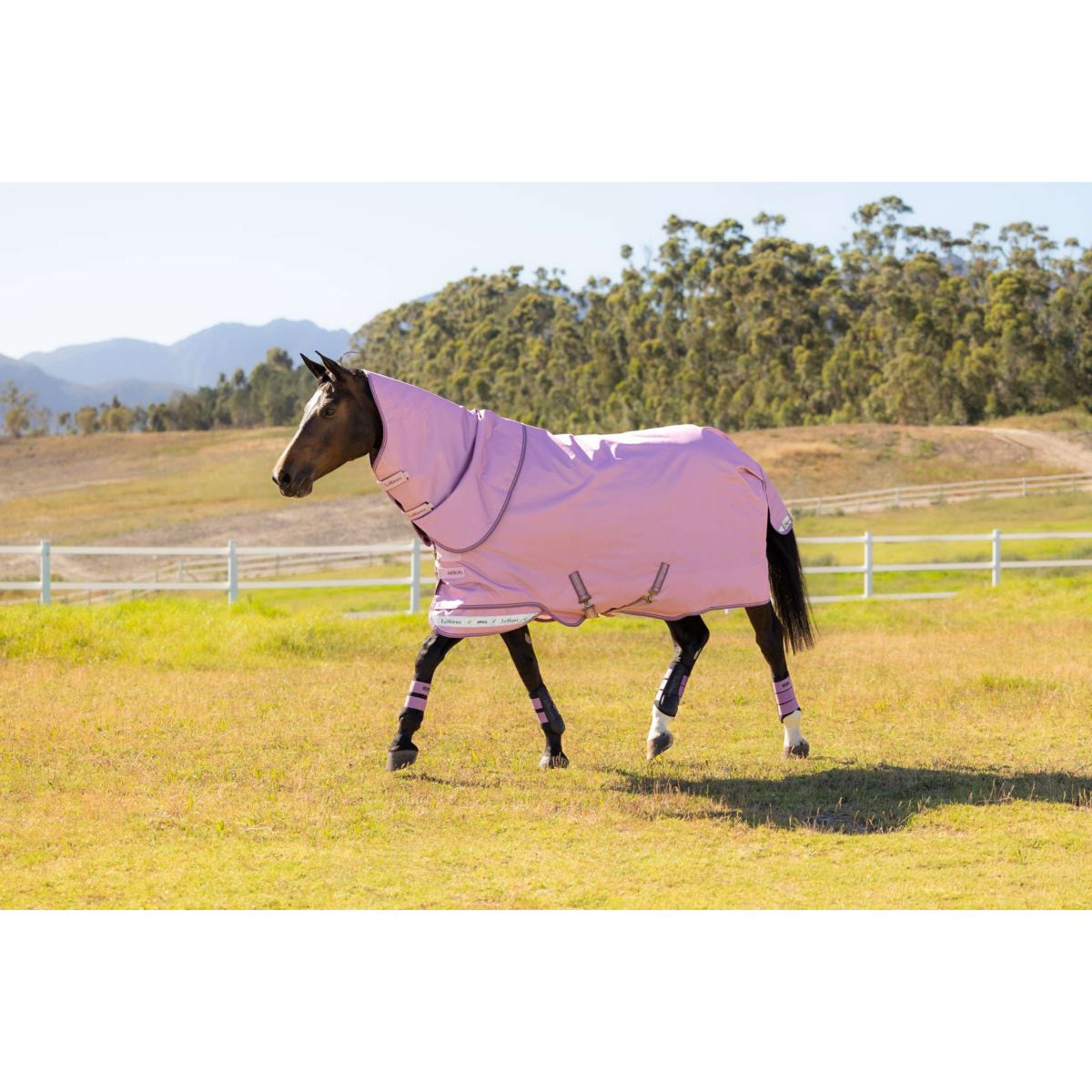 LeMieux Alfombra de Exterior Arika Ripstop 0g Fondant