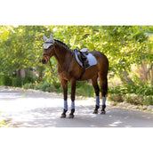 LeMieux Mantilla Essence Close Contact Square saltando Powder Blue