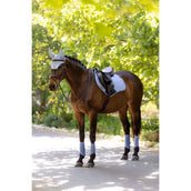 LeMieux Mantilla Essence Close Contact Square saltando Powder Blue