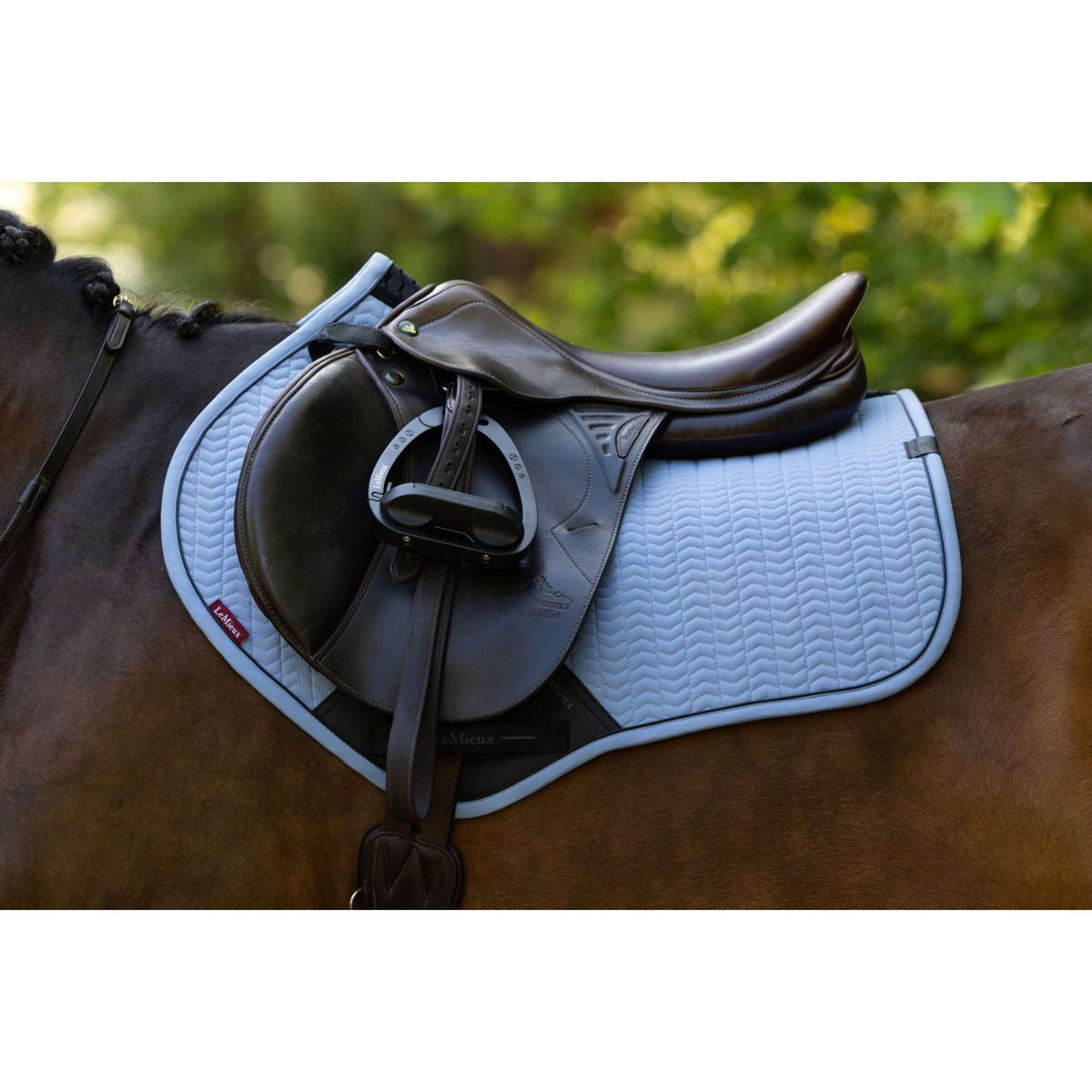 LeMieux Mantilla Essence Close Contact Square saltando Powder Blue