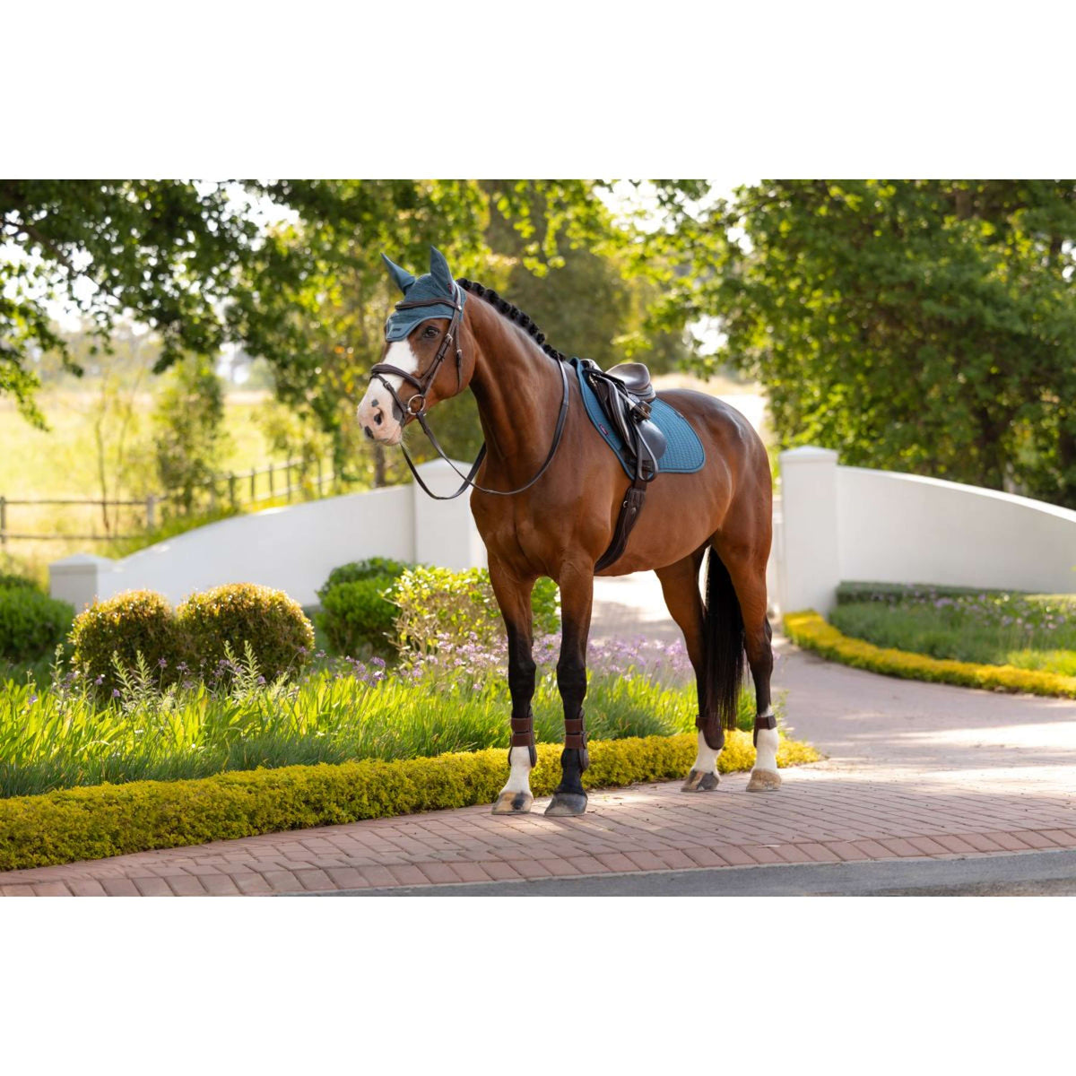 LeMieux Mantilla Essence Close Contact Square saltando Jungle