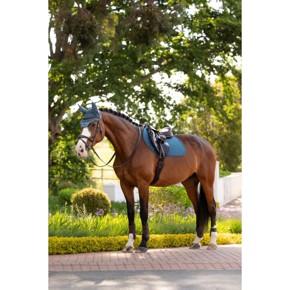 LeMieux Mantilla Essence Close Contact Square saltando Jungle