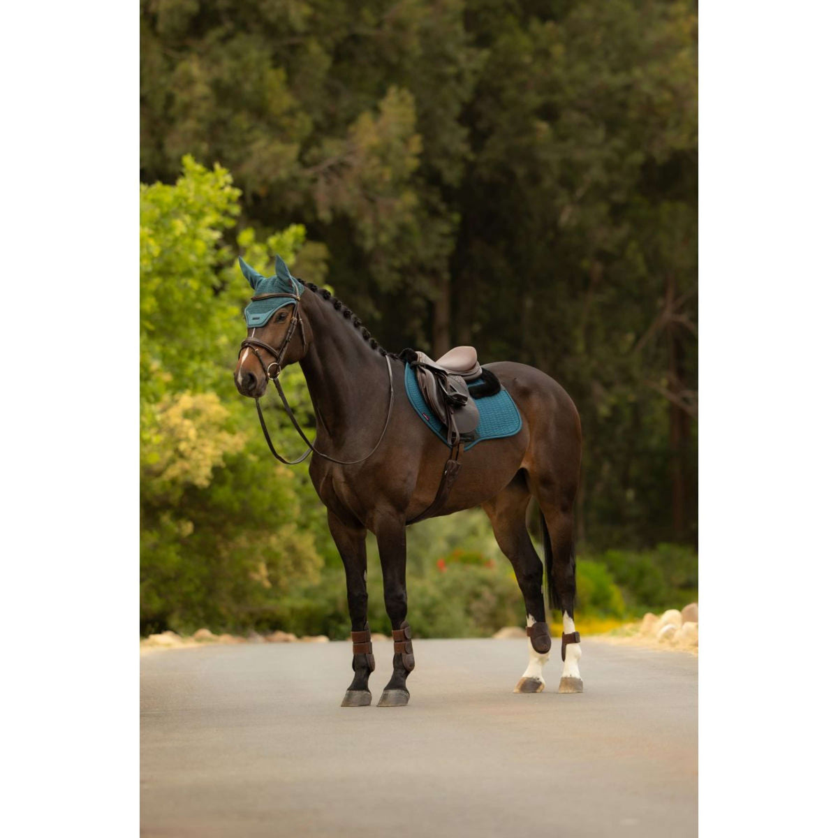 LeMieux Mantilla Merino+ Essence Close Contact Square saltando Jungle