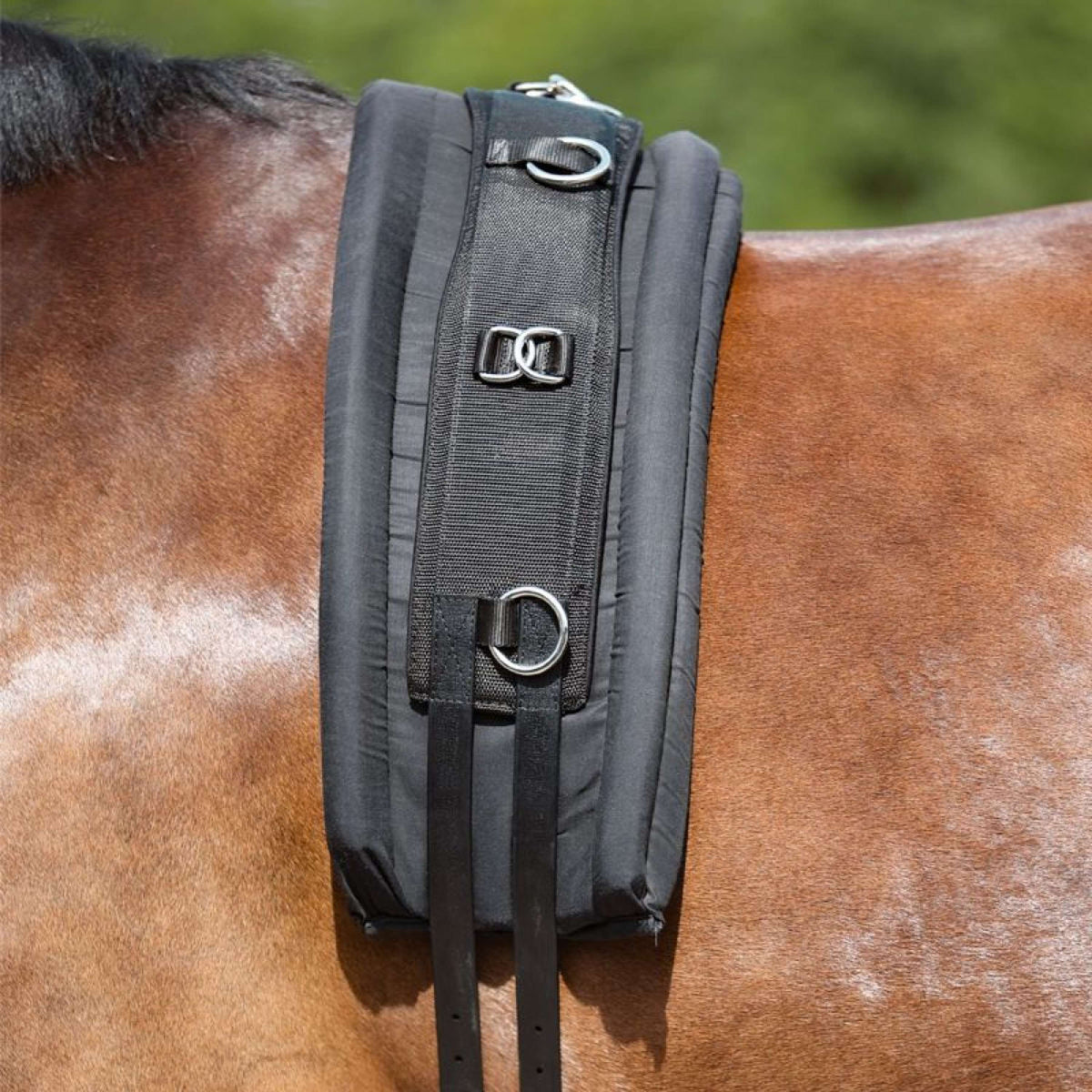 Kavalkade Base para Cincear Negro