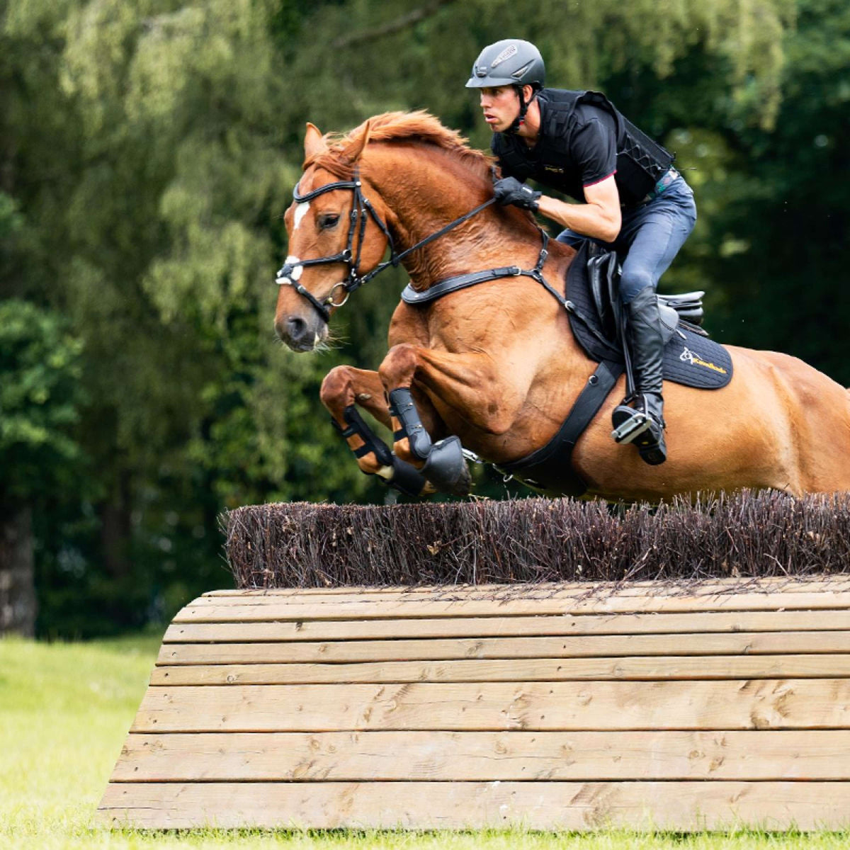 Kavalkade Pechera Jerome 2-Puntos Negro