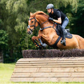 Kavalkade Pechera Jerome 2-Puntos Negro