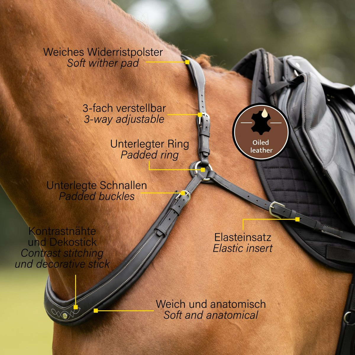 Kavalkade Pechera Jerome 2-Puntos Marron