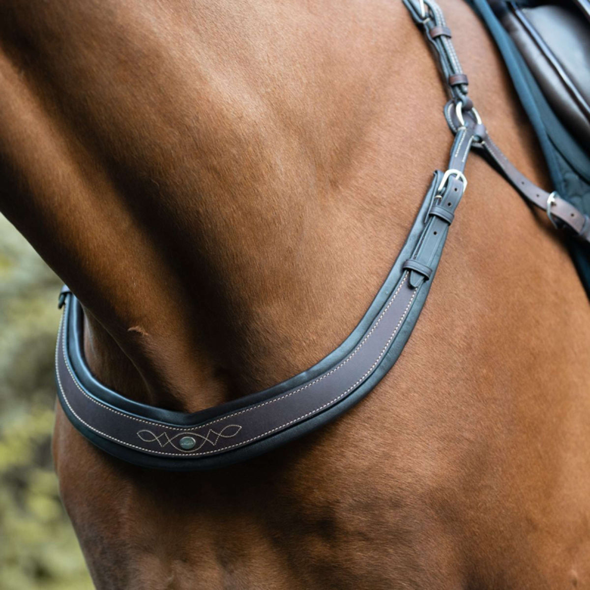 Kavalkade Pechera Jerome 2-Puntos Marron