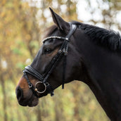 Kavalkade Brida Zora Negro/Charol/Negro