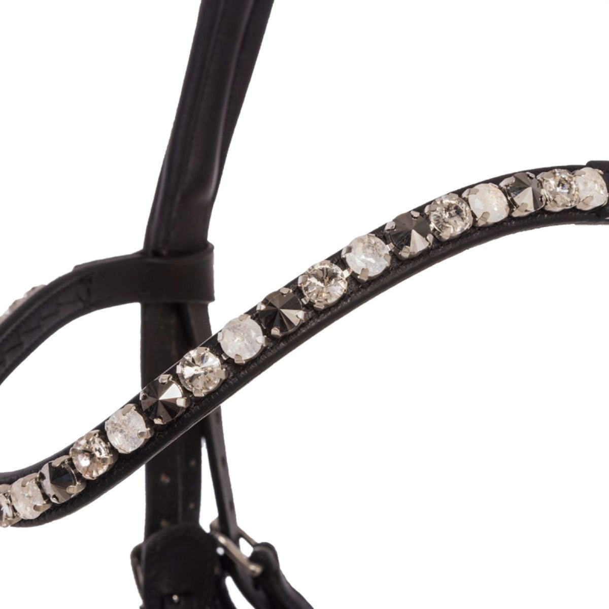 Kavalkade Brida Zora Negro/Charol/Negro