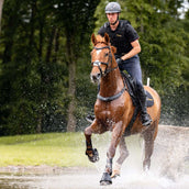 Kavalkade Pechera Jerome 2-Puntos Marron