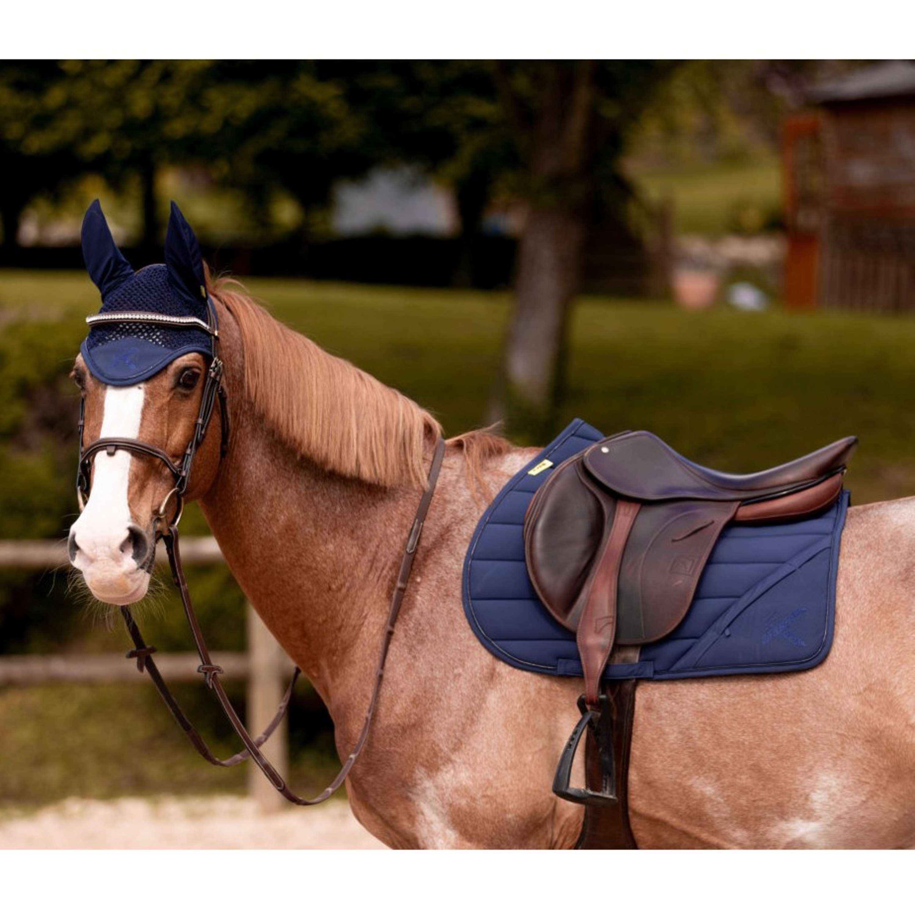 K by EQUITHÈME Mantilla Vega Versatilidad Navy