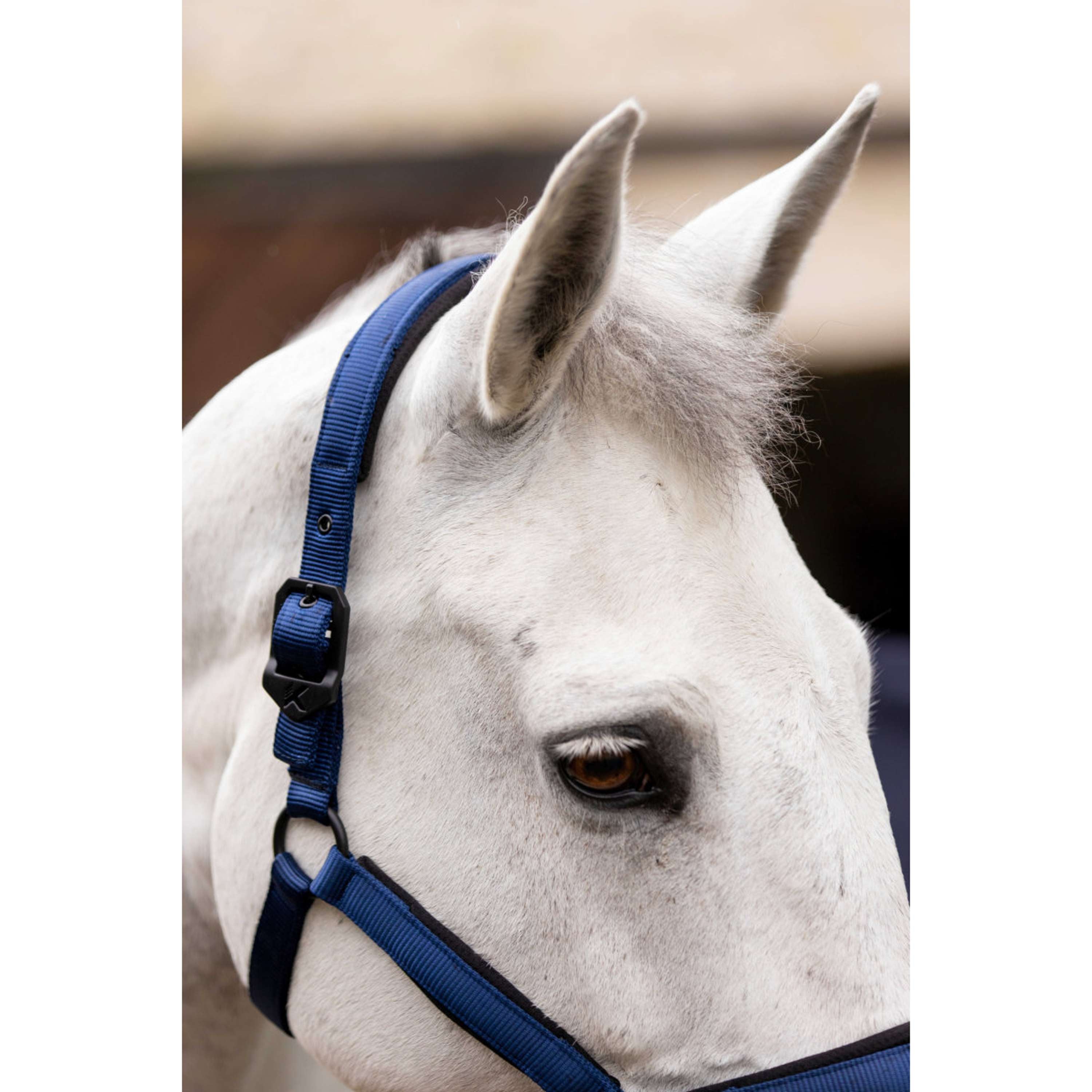 K by EQUITHÈME Cabestro Triton Azul Real