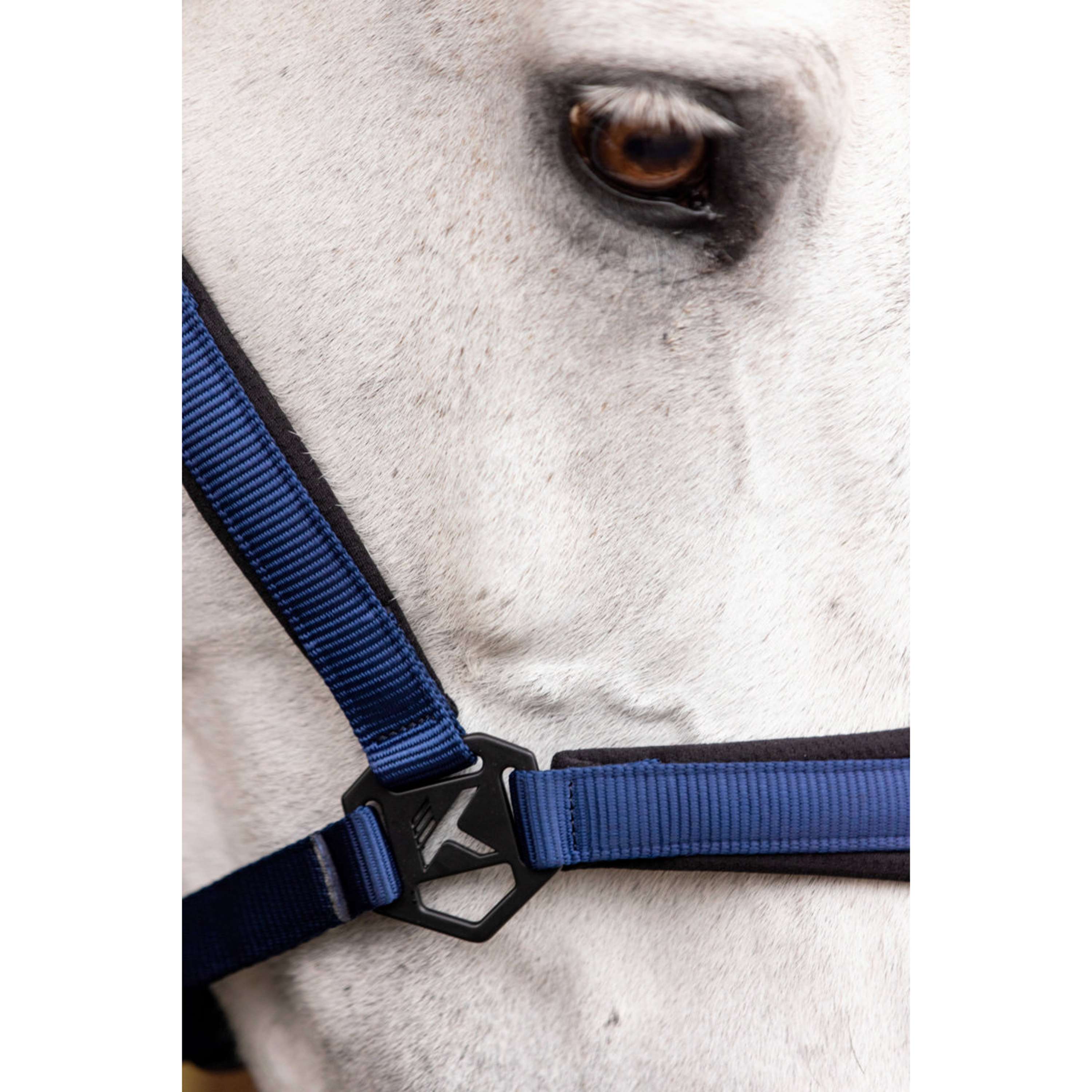 K by EQUITHÈME Cabestro Triton Azul Real
