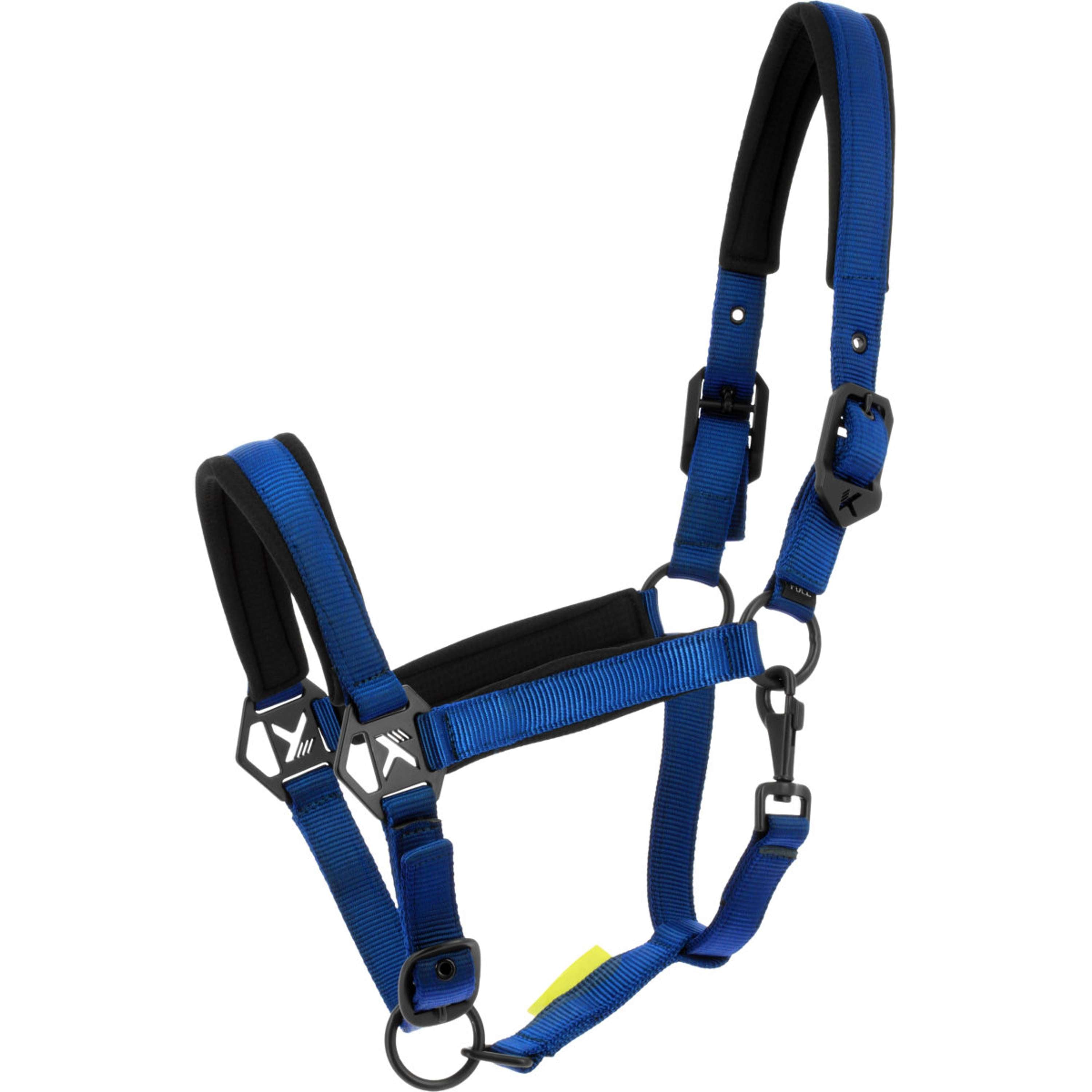 K by EQUITHÈME Cabestro Triton Azul Real