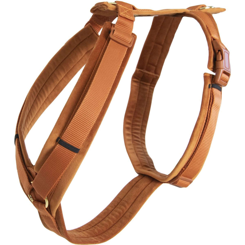 Kentucky Dogwear Arnés Active Velvet Naranja