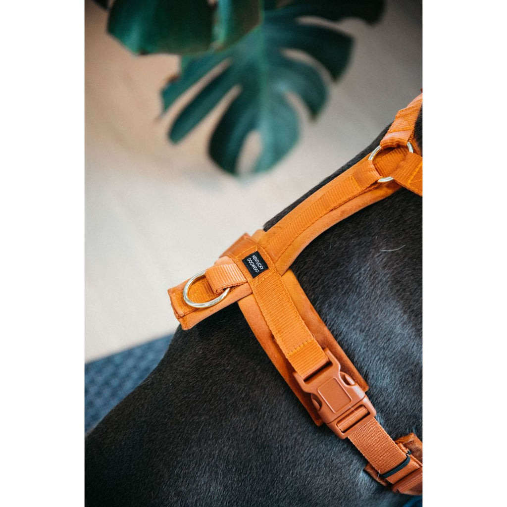 Kentucky Dogwear Arnés Active Velvet Naranja