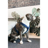 Kentucky Dogwear Arnés Active Velvet Navy