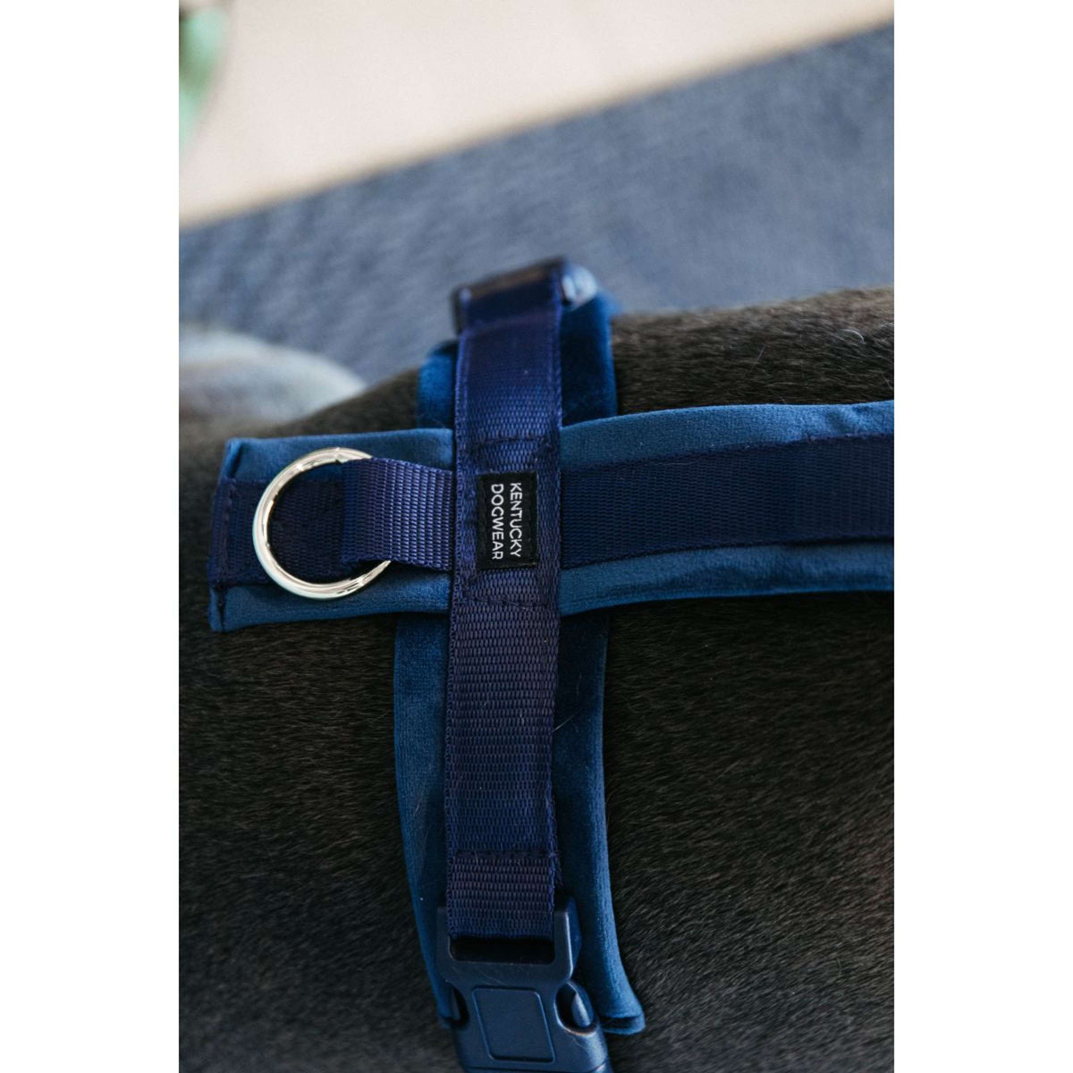 Kentucky Dogwear Arnés Active Velvet Navy