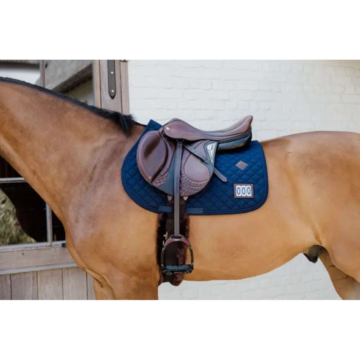 Kentucky Horsewear Mantilla Diamond Competiton Springen Navy