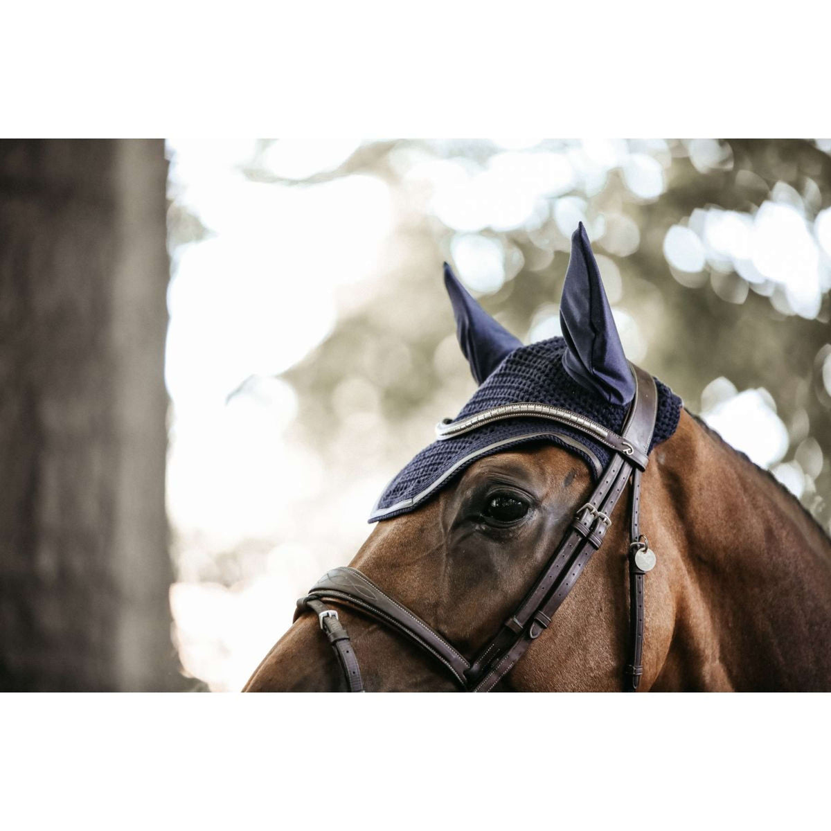 Kentucky Horsewear Bonete para Orejas Wellington Azul oscuro