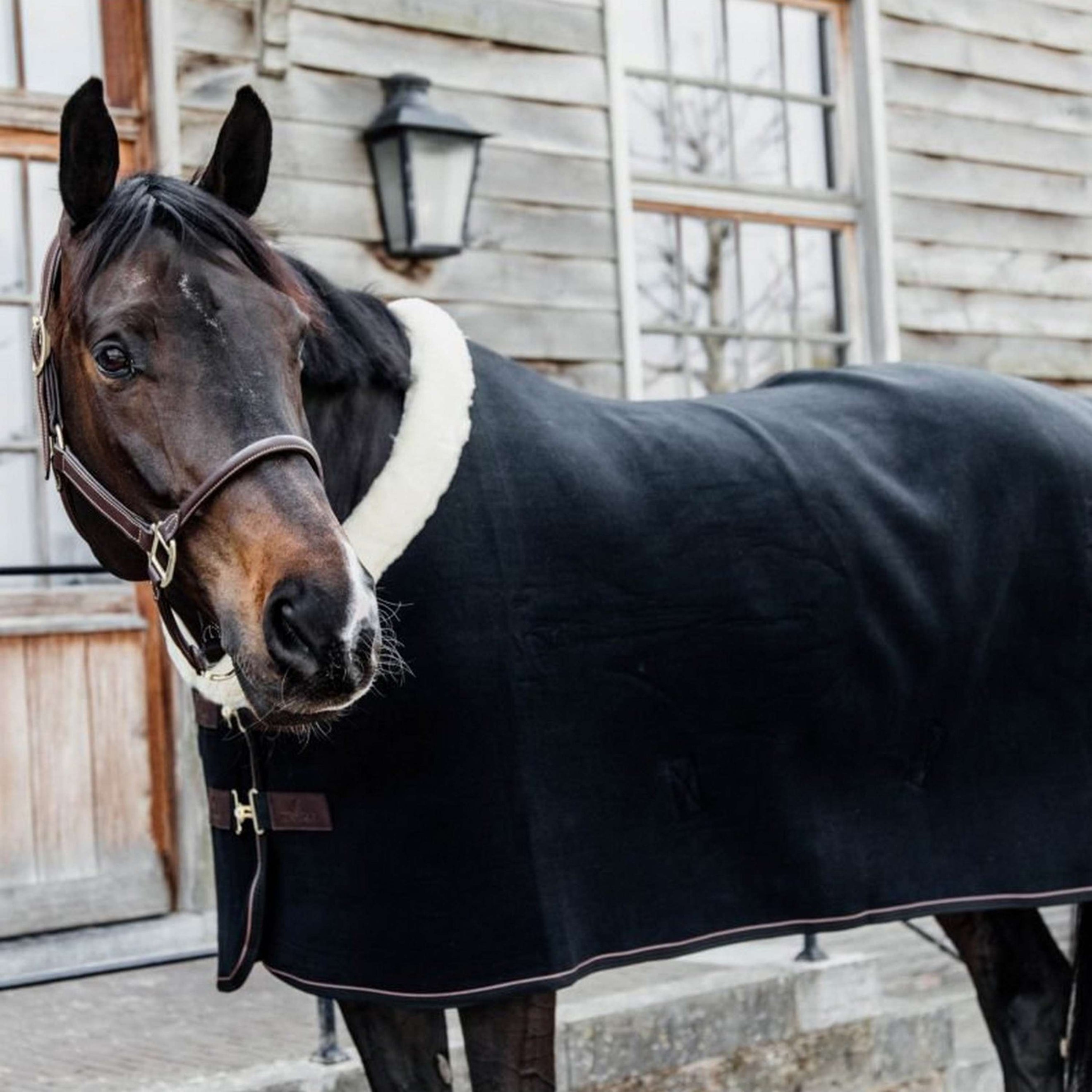 Kentucky Horsewear Manta para el sudor Show Fleece Heavy Negro Kentucky Horsewear Manta para el sudor Show Fleece Heavy Negro