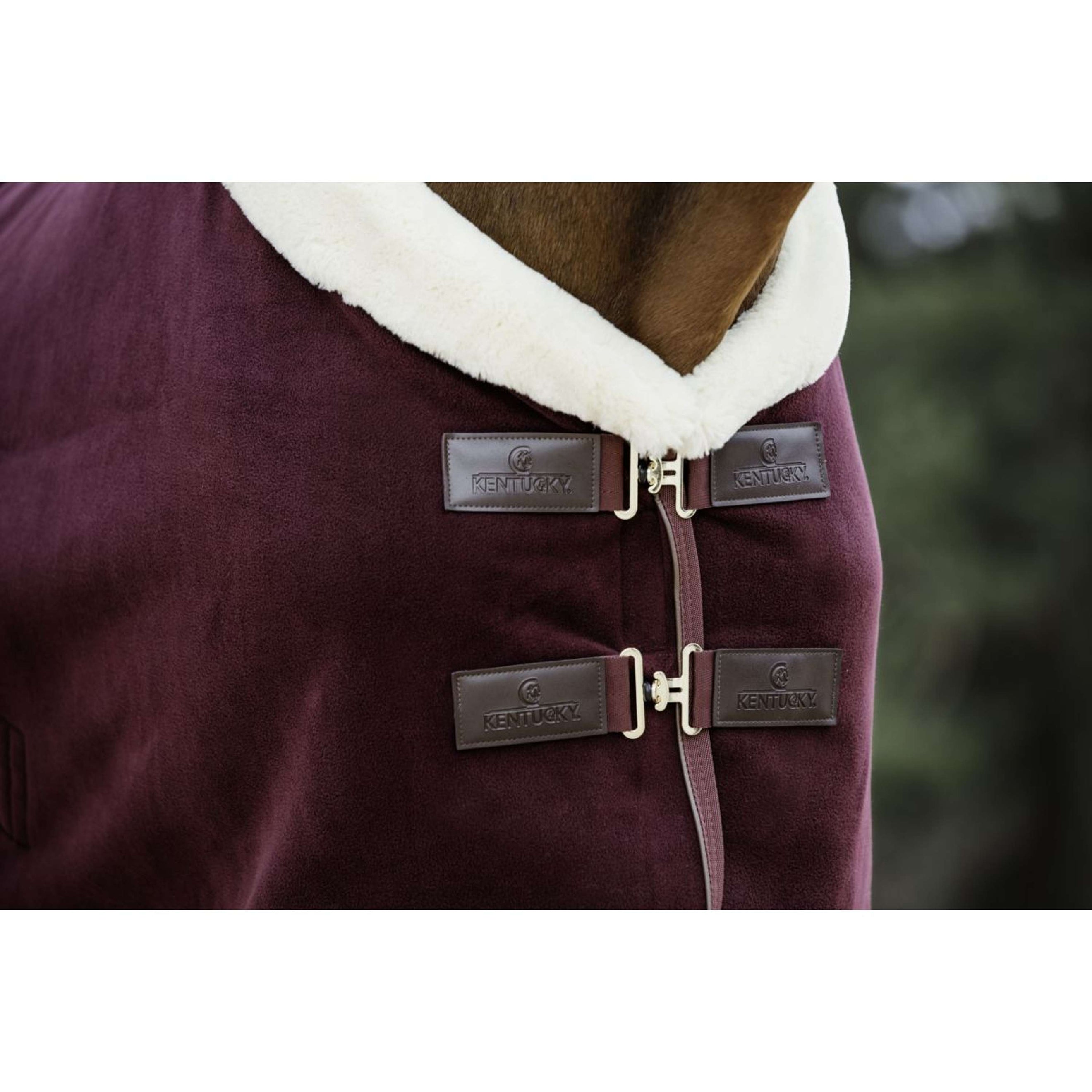 Kentucky Horsewear Manta para el sudor Show Fleece Heavy Bordeaux Kentucky Horsewear Manta para el sudor Show Fleece Heavy Bordeaux