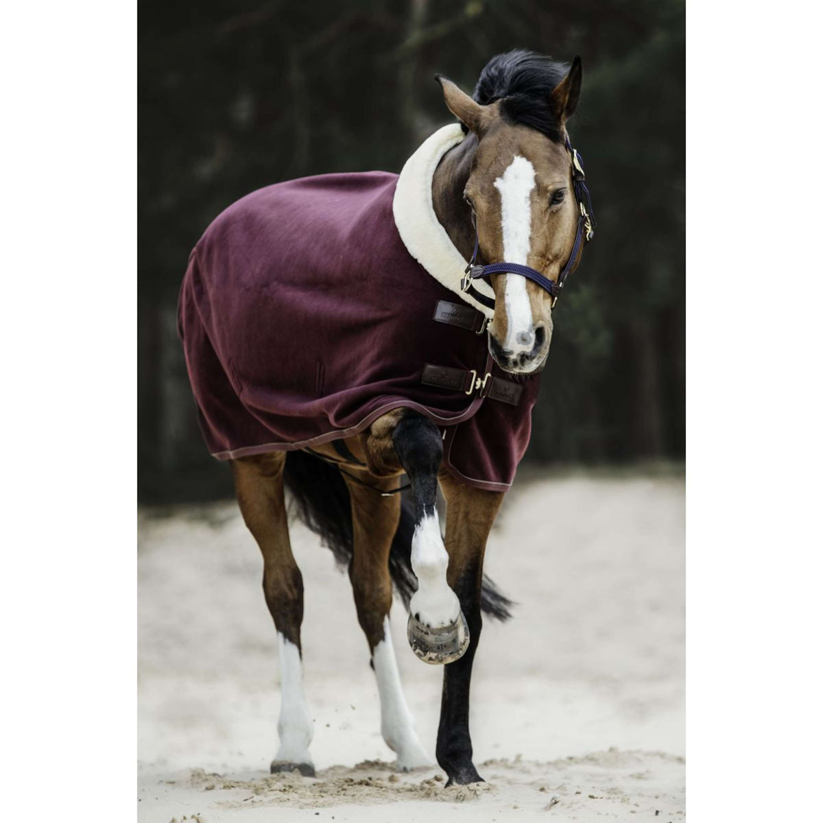 Kentucky Horsewear Manta para el sudor Show Fleece Heavy Bordeaux