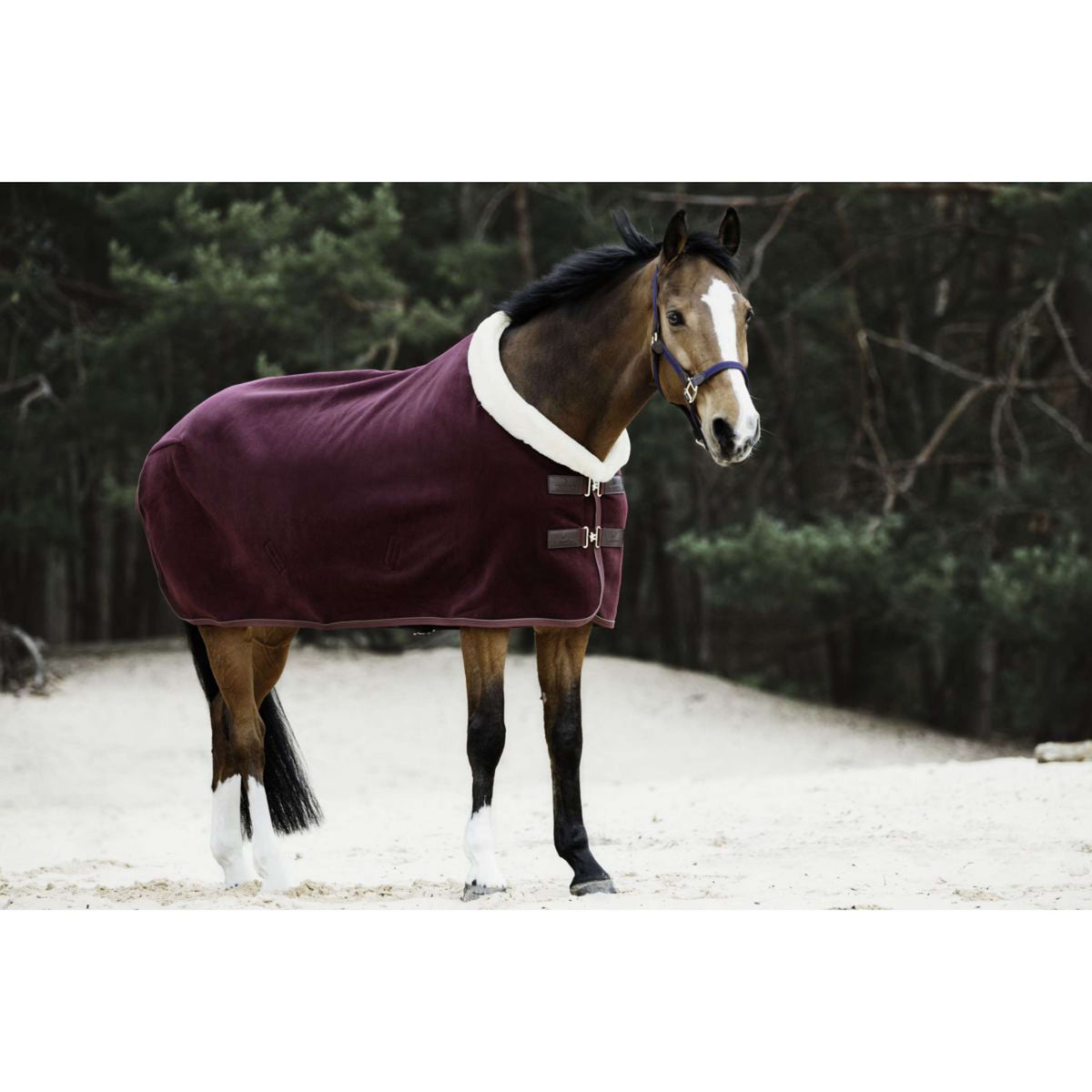 Kentucky Horsewear Manta para el sudor Show Fleece Heavy Bordeaux