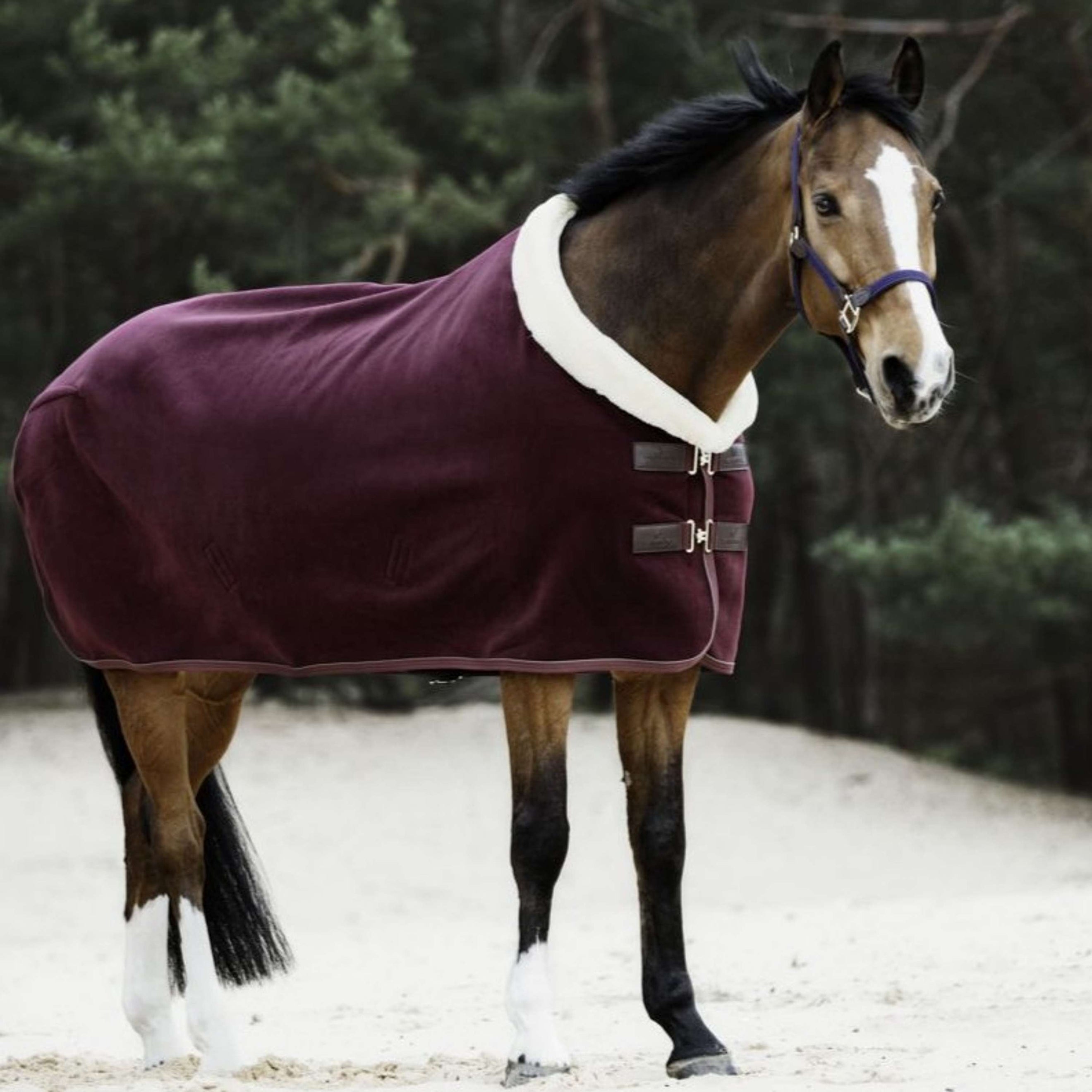 Kentucky Horsewear Manta para el sudor Show Fleece Heavy Bordeaux