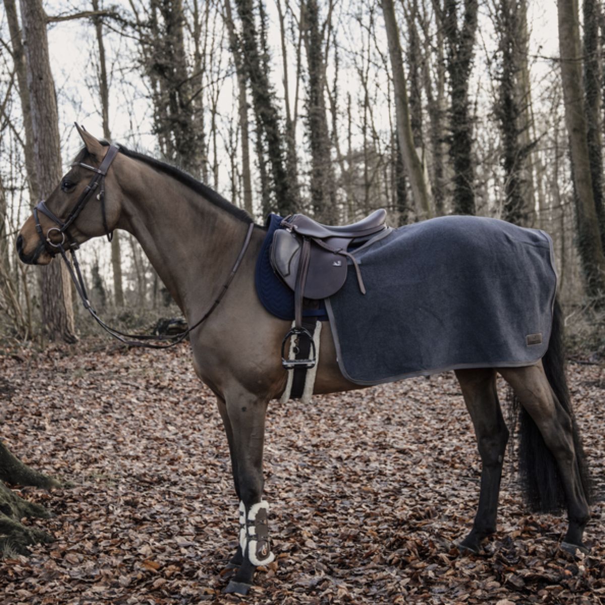 Kentucky Horsewear Manta de ejercicio Gris oscuro