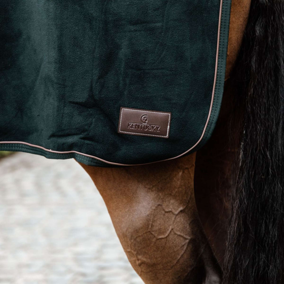 Kentucky Horsewear Manta de ejercicio Verde