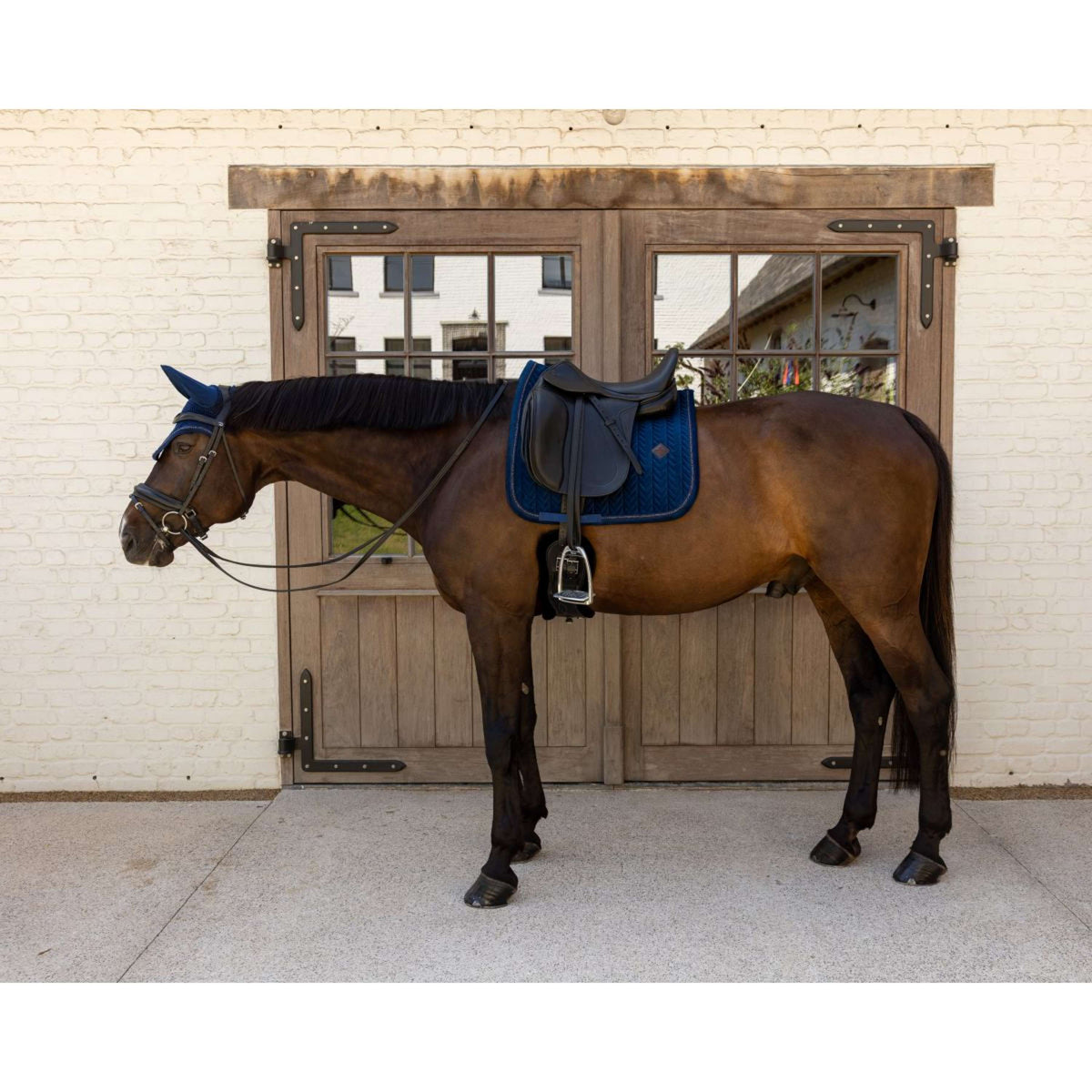 Kentucky Mantilla Velvet Mini Pearls Doma clásica Navy