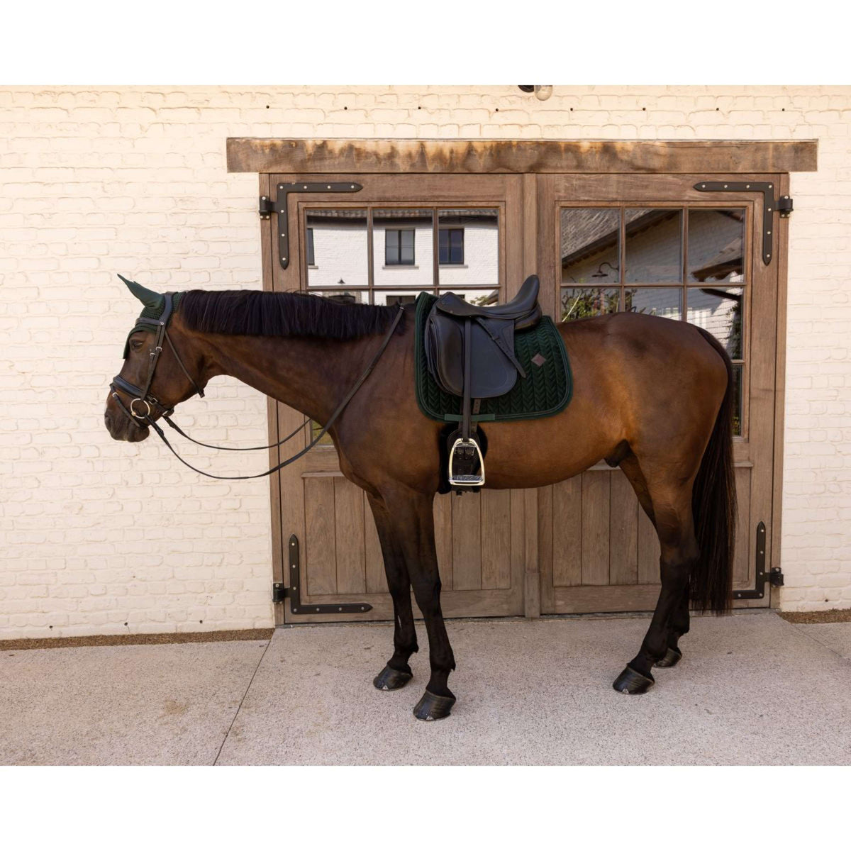 Kentucky Mantilla Velvet Mini Pearls Doma clásica Pine Green