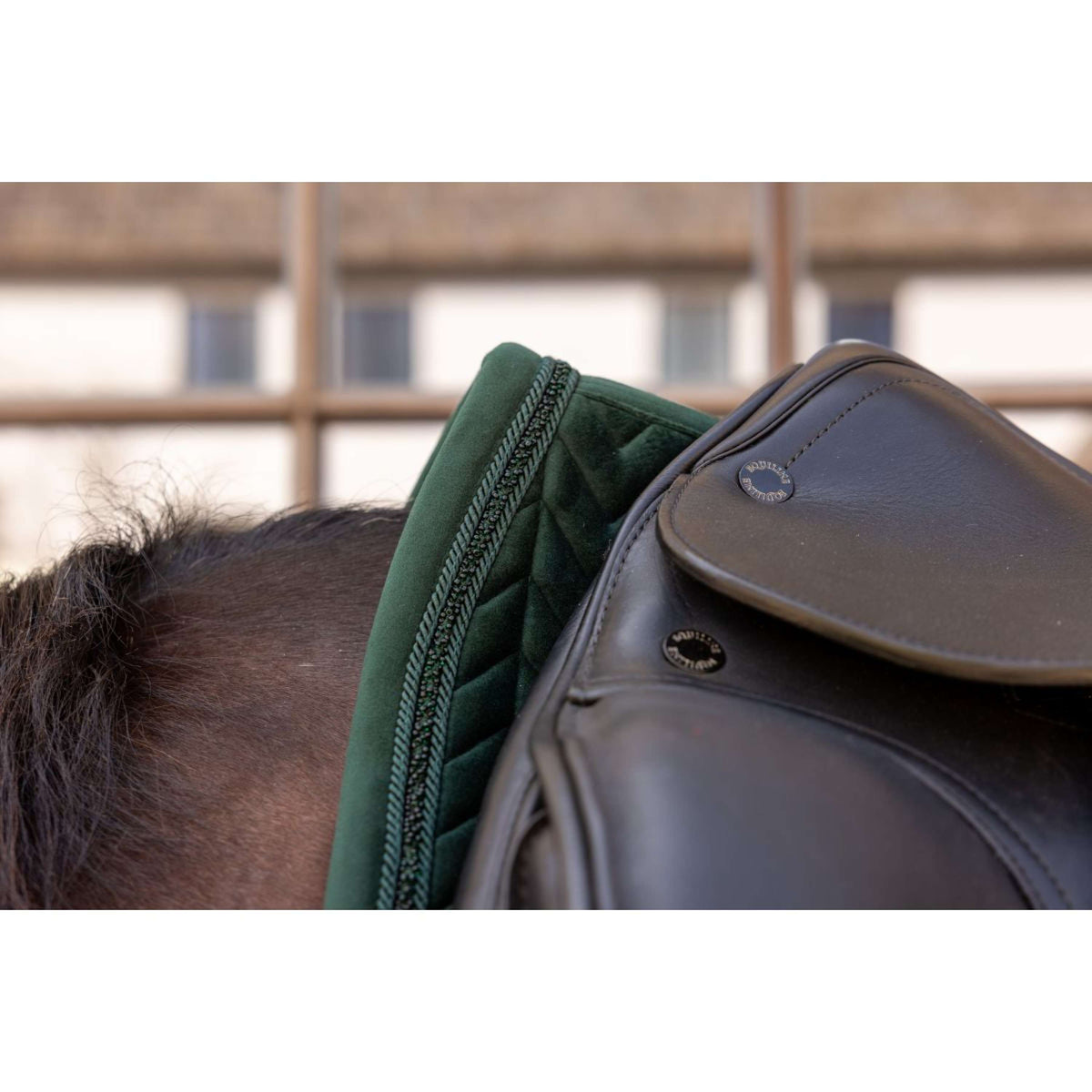 Kentucky Mantilla Velvet Mini Pearls Doma clásica Pine Green