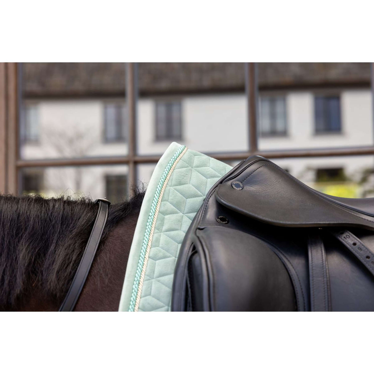 Kentucky Mantilla Velvet Doma clásica Mint