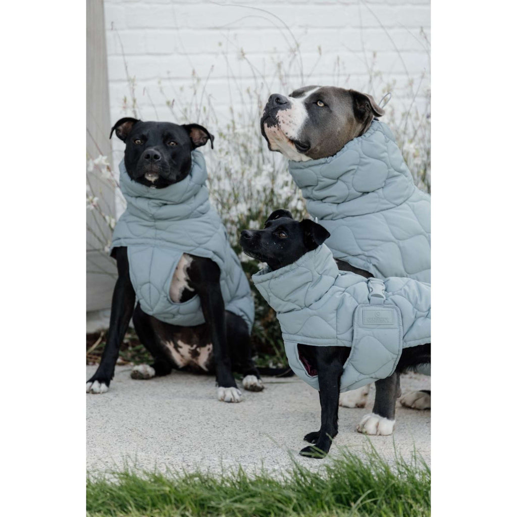 Kentucky Horsewear Manta para Perros Winter Pina 160g Dusty Blue