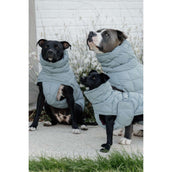 Kentucky Horsewear Manta para Perros Winter Pina 160g Dusty Blue