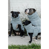 Kentucky Horsewear Manta para Perros Winter Pina 160g Dusty Blue