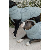 Kentucky Horsewear Manta para Perros Winter Pina 160g Dusty Blue