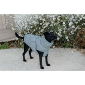 Kentucky Horsewear Manta para Perros Winter Pina 160g Dusty Blue