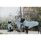 Kentucky Horsewear Manta para Perros Winter Pina 160g Dusty Blue