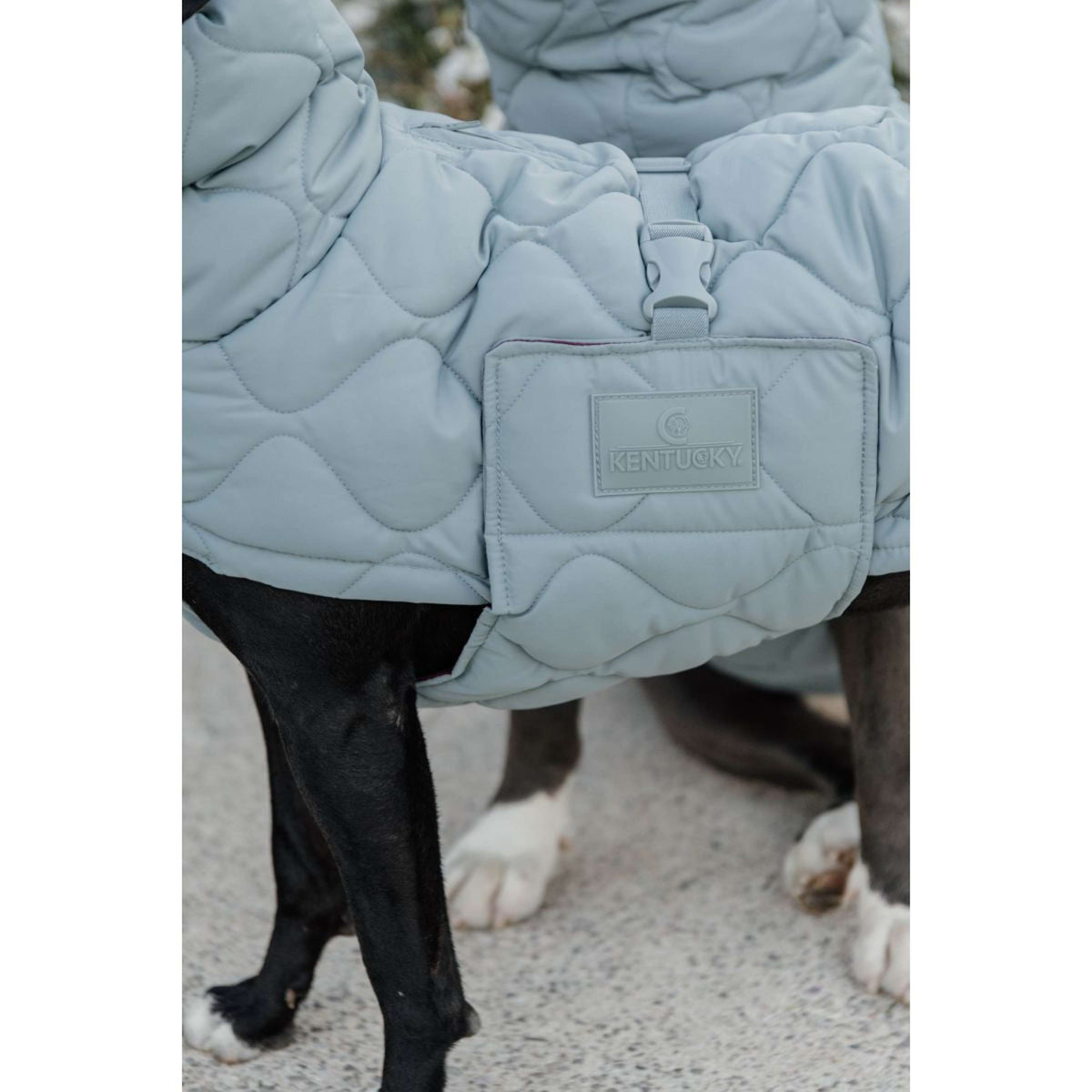 Kentucky Horsewear Manta para Perros Winter Pina 160g Dusty Blue