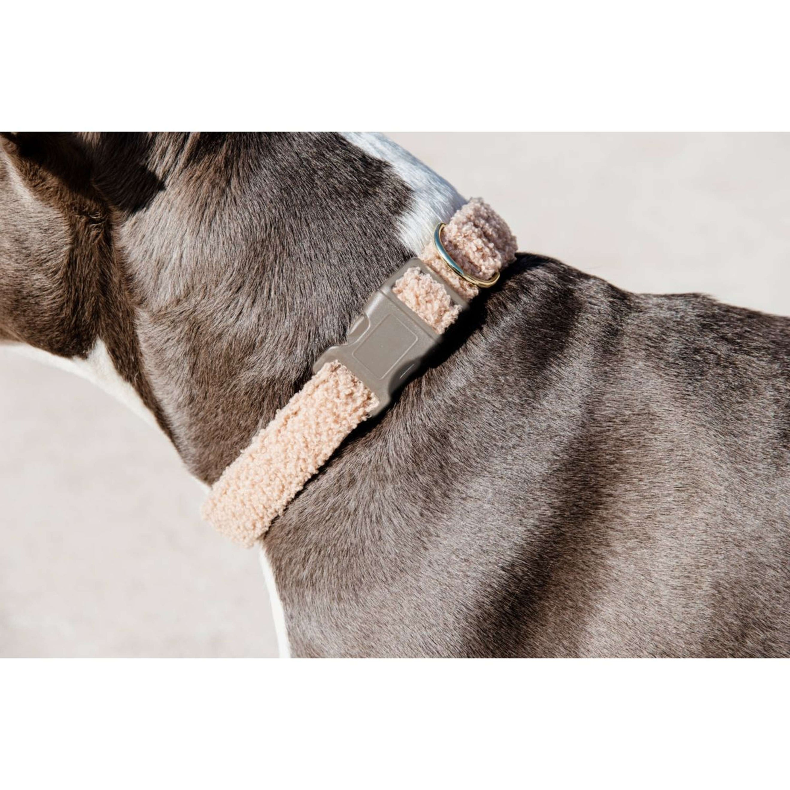 Kentucky Dogwear Halsband Teddy Fleece Rosa Viejo