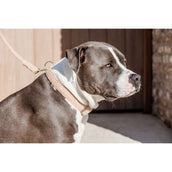 Kentucky Dogwear Halsband Teddy Fleece Rosa Viejo