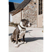 Kentucky Dogwear Halsband Teddy Fleece Pine Green