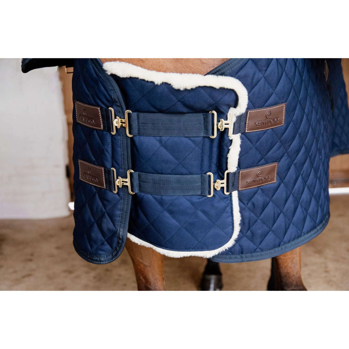 Kentucky Horsewear Extensor de pecho Wol 2 cierres de acoplamiento Navy