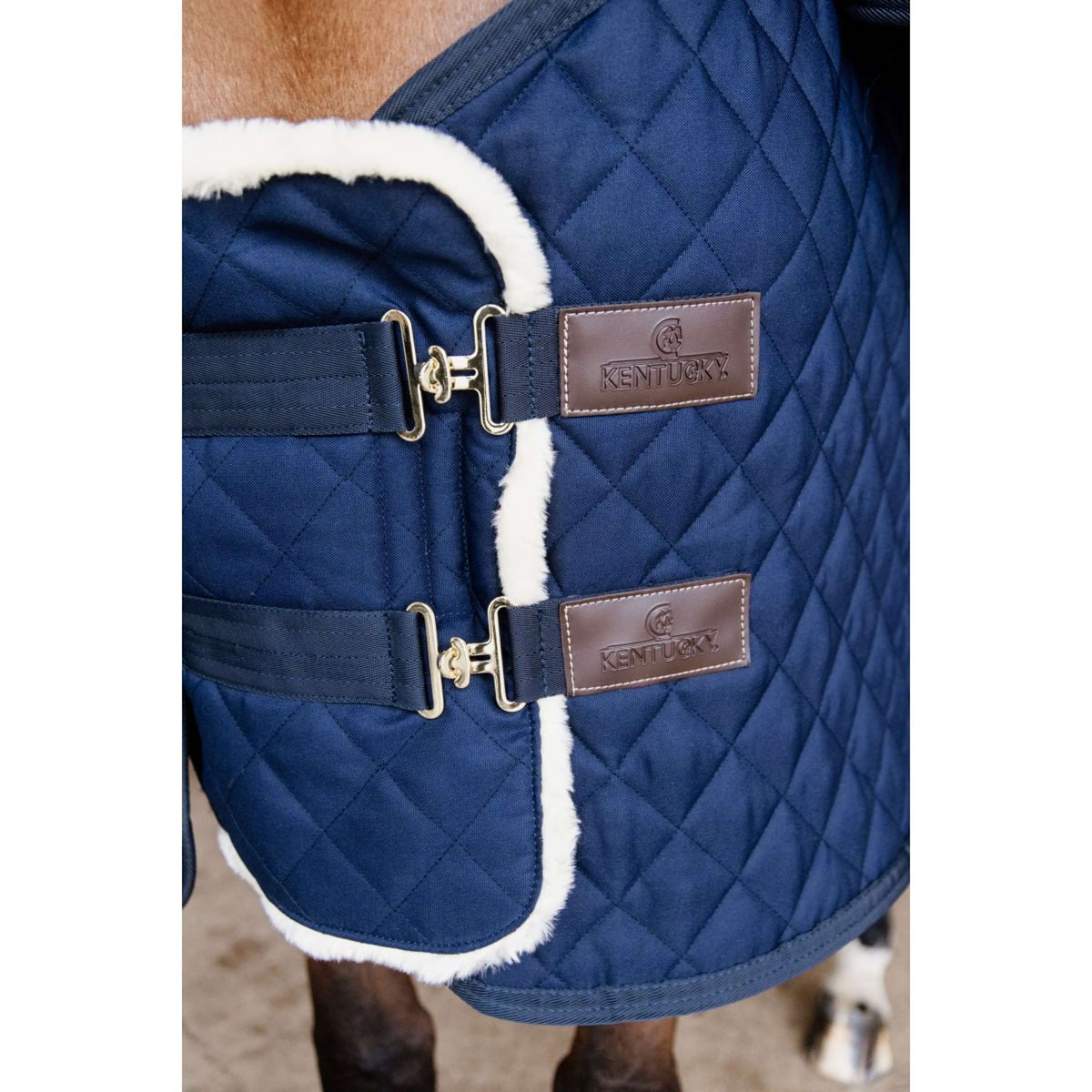 Kentucky Horsewear Extensor de pecho Wol 2 cierres de acoplamiento Navy